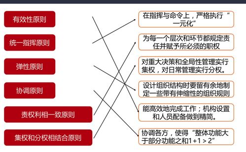 网络经济与企业管理